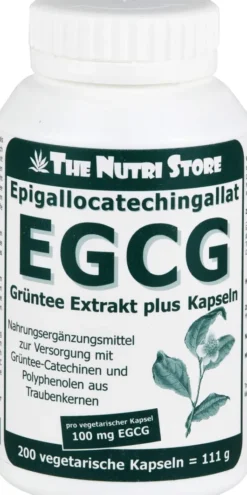 Egcg 100 mg Grüntee Extrakt Plus Kapseln