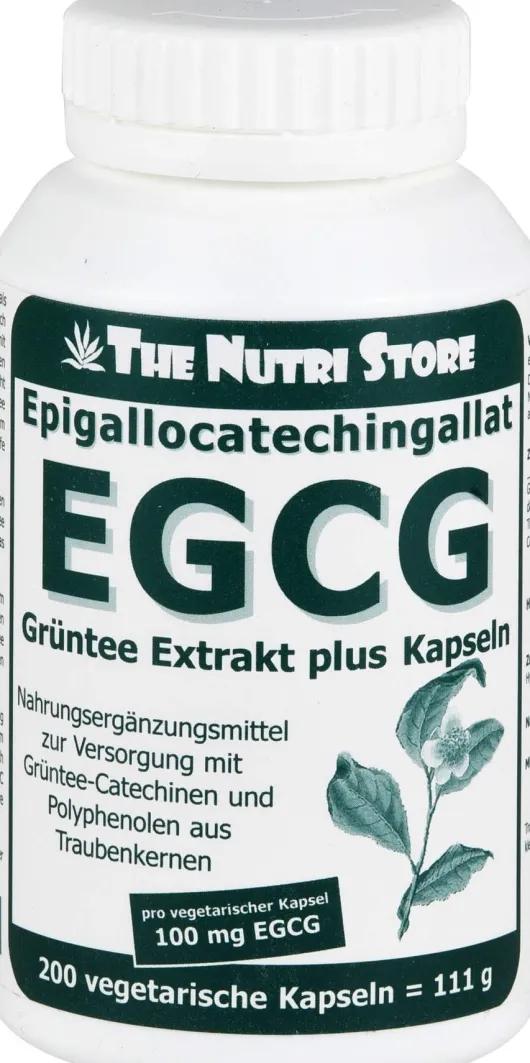 Egcg 100 mg Grüntee Extrakt Plus Kapseln