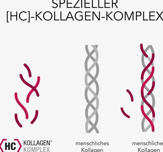 Elasten Trinkampullen 28 Stück