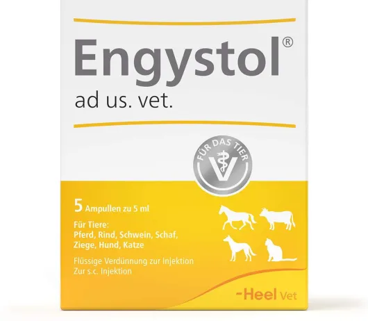 Engystol ad us. vet. 5 Ampullen