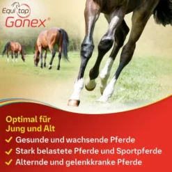 Equitop Gonex vet. 750 g Granulat