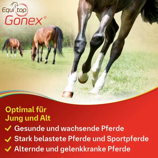 Equitop Gonex vet. 750 g Granulat