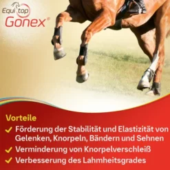 Equitop Gonex vet. 750 g Granulat