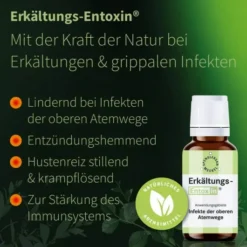Erkältungs Entoxin 20 ml Tropfen