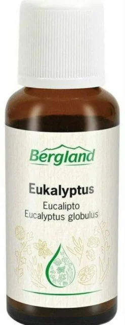 Eukalyptus Öl 30 ml Öl