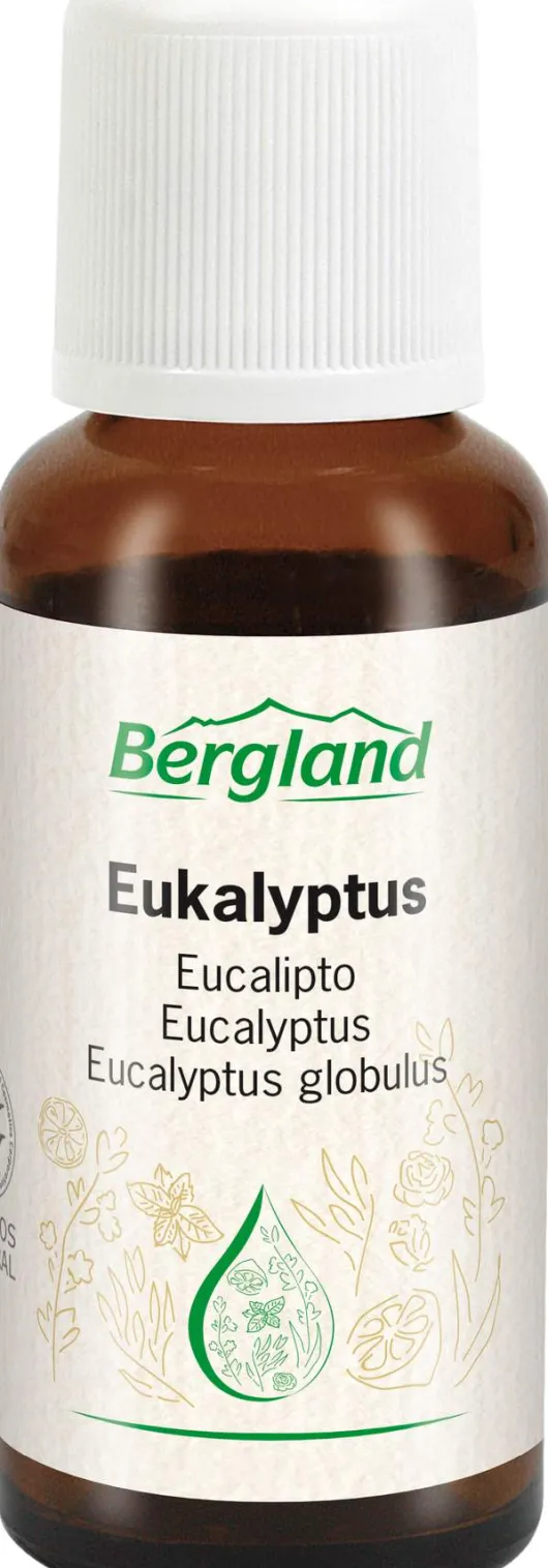 Eukalyptus Öl 30 ml Öl