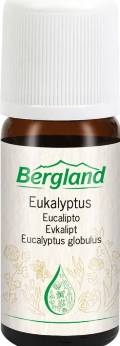 Eukalyptus Öl Natürlich 10 ml Öl