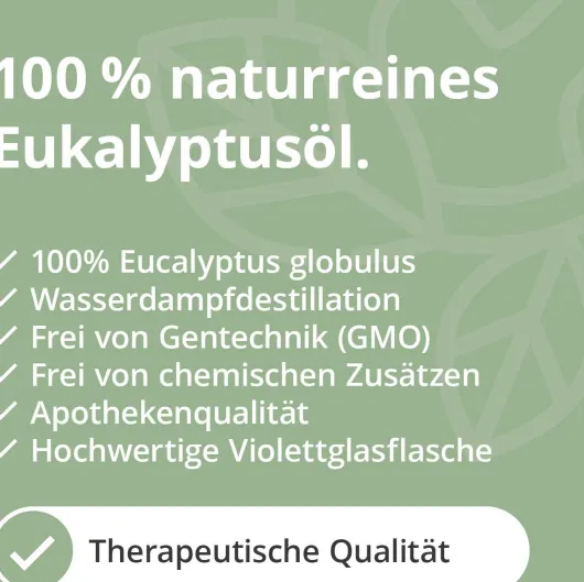 Eukalyptus Öl Naturrein Ätherisch 10 ml
