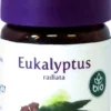 Eukalyptus Öl Radiata Bio 5 ml