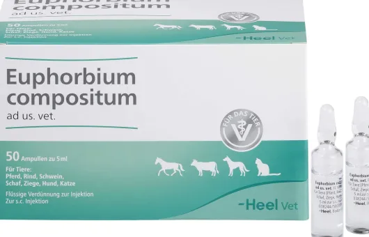 Euphorbium Compositum vet. 50 X 5 ml Ampullen