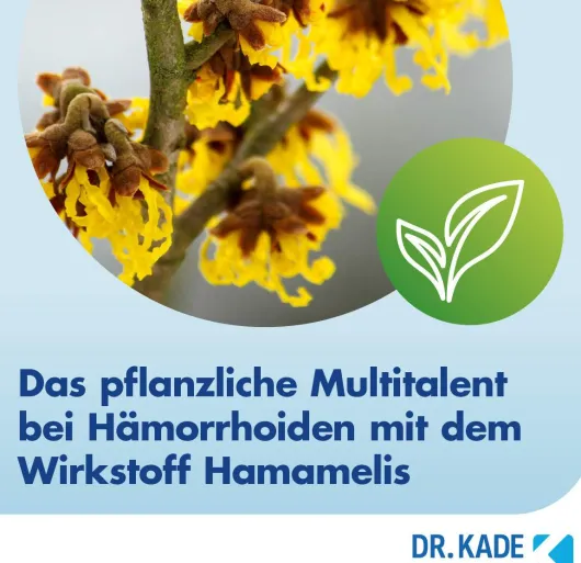 Faktu lind Hämorrhoidensalbe 25 g