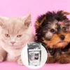 FeliGum Gingiva 60 Kaudrops für Katzen und kleine Hunde