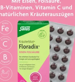 Floradix Eisen Folsäure Tabletten 84 Stück