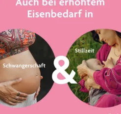 Floradix Eisen Folsäure Tabletten 84 Stück