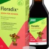 Floradix Eisen Für Kinder 250 ml Tonikum