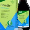 Floradix Eisen Plus B 12 Vegan 250 ml Tonikum