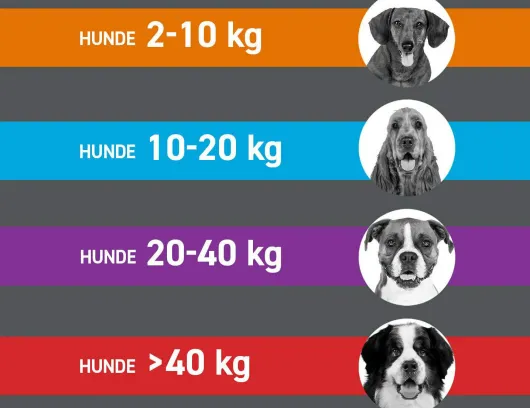 Frontline Combo Spot On Hund S 2-10 kg 6 Pipetten