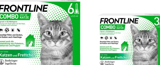 Frontline Combo Spot on Katze 6+3 Pipetten