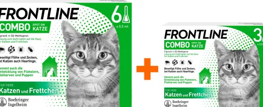Frontline Combo Spot on Katze 6+3 Pipetten