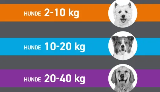 Frontline Spot On Hund M 10-20 kg 6 Pipetten