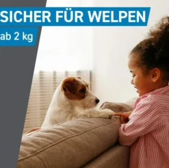 Frontline Spot On Hund M 10-20 kg 6 Pipetten
