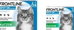 Frontline Spot on Katze 6+3 Pipetten
