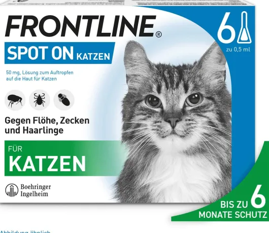 Frontline Spot on Katze 6 Pipetten