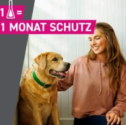 Frontline TRI-ACT Hund 10-20 kg 6 Pipetten