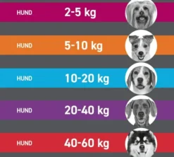 Frontline Tri-Act Hund 5-10 KG 6 Pipetten