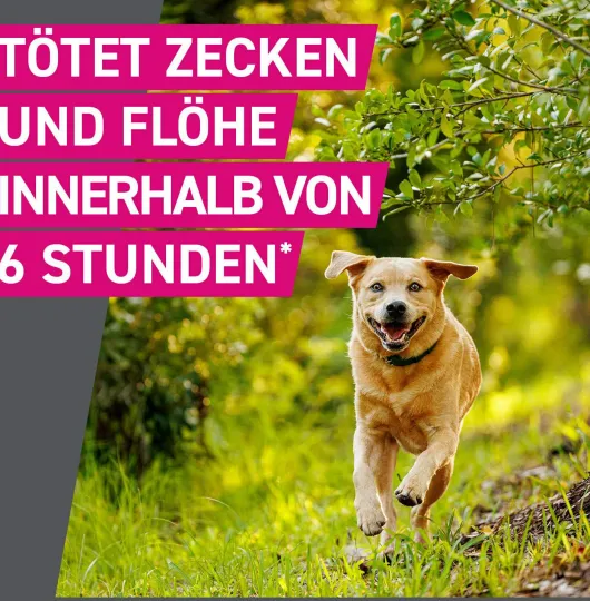 Frontline TRI-ACT Hund 2-5 kg 3 Pipetten