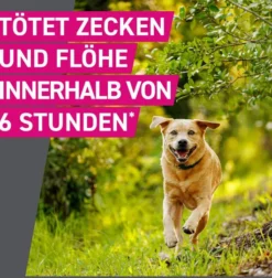 Frontline TRI-ACT Hund 40-60 kg 3 Pipetten