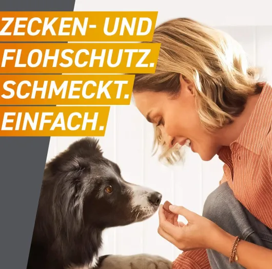 Frontpro 68 mg für Hunde 10-25 kg 3 Kautabletten