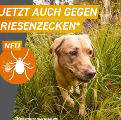 Frontpro 68 mg für Hunde 10-25 kg 3 Kautabletten