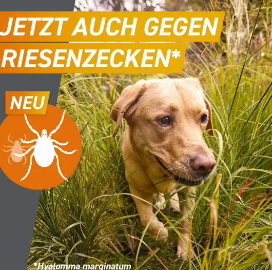Frontpro 68 mg für Hunde 10-25 kg 3 Kautabletten