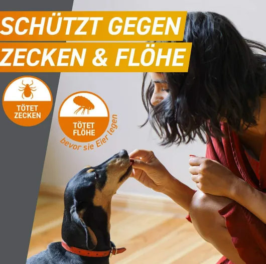 Frontpro 68 mg für Hunde 10-25 kg 3 Kautabletten