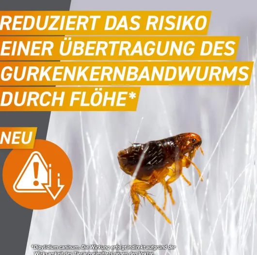 Frontpro 68 mg für Hunde 10-25 kg 3 Kautabletten