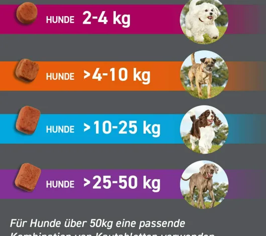 Frontpro 68 mg für Hunde 10-25 kg 3 Kautabletten