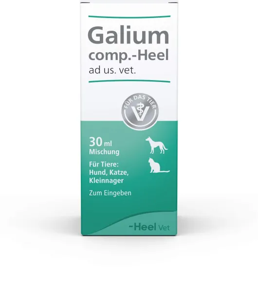 Galium Comp. Heel 30 ml Tropfen Für Hunde und Katzen Und...