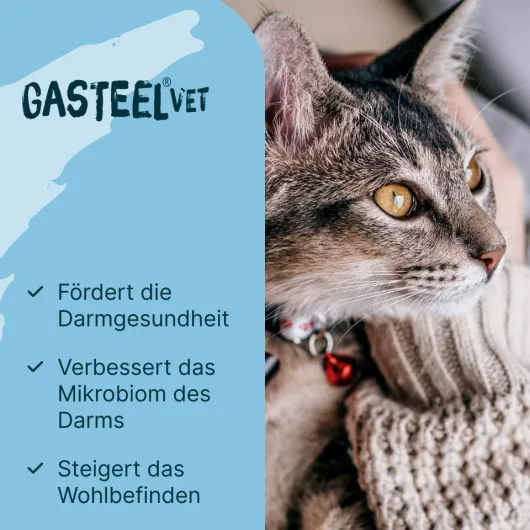 Gasteel Vet Kapseln für Hund und Katze 50 Stück