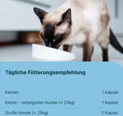 Gasteel Vet Kapseln für Hund und Katze 50 Stück