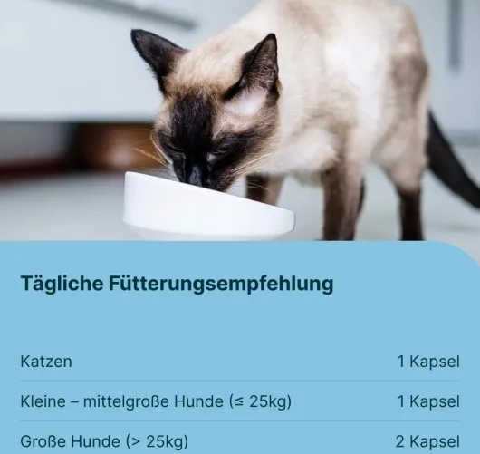 Gasteel Vet Kapseln für Hund und Katze 50 Stück