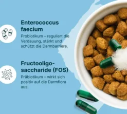 Gasteel Vet Kapseln für Hund und Katze 50 Stück