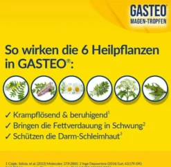 Gasteo Magen-Tropfen 50 ml