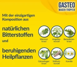 Gasteo Magen-Tropfen 100 ml