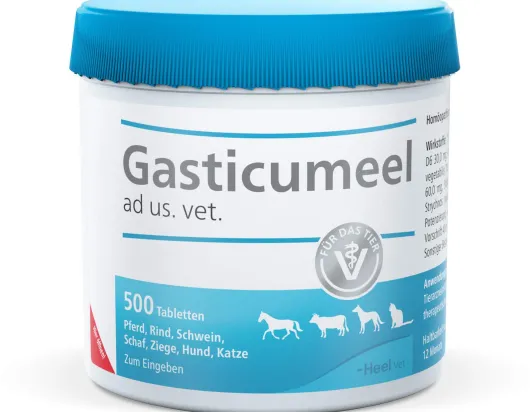 Gasticumeel Ad Us.Vet. 500 Tabletten