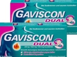 Gaviscon Dual 250 mg - 106,5 mg -187,5 mg 2 x 16 Kautabletten