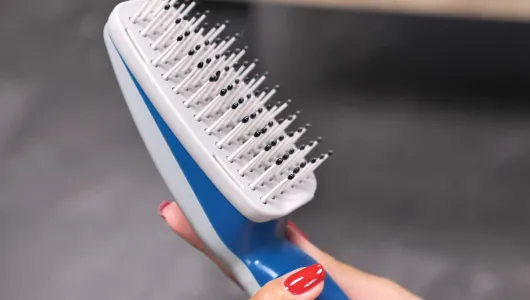 Genius Ideas Negativ-Ionen-Tierfellbürste