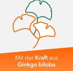 Ginkobil ratiopharm 240 mg 30 Filmtabletten
