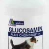 Glucosamin + Chondroitin Für Hunde 120 Kapseln