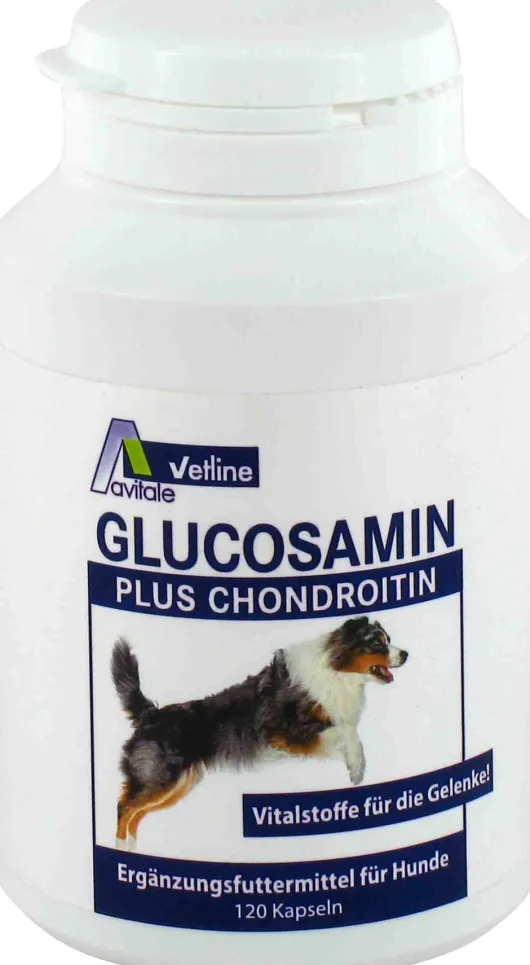 Glucosamin + Chondroitin Für Hunde 120 Kapseln